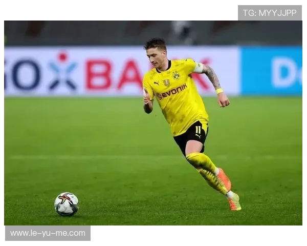 罗伊斯：德国中场新篇章，迎接职业生涯新挑战