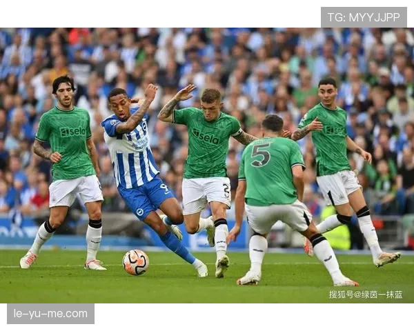 卢顿哈特斯新赛季剑指英超，携手球迷共迎挑战与精彩征程