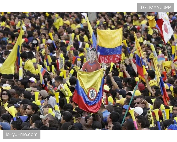 足球盛宴表现稳健，精彩瞬间引爆球迷热情