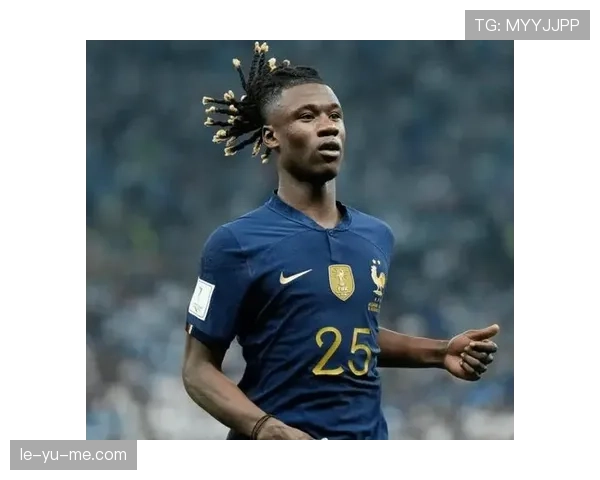 卡马文加:法国队中场新生代核心拼图解析 卡马文加:法国队中场新生代核心拼图解析